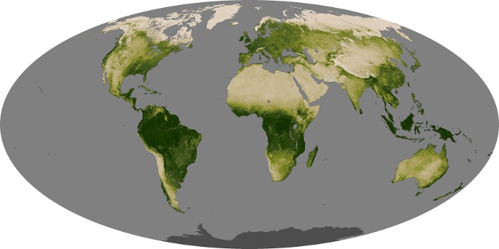 Global Map Vegetation Image 27
