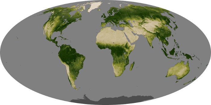 Global Map Vegetation Image 29