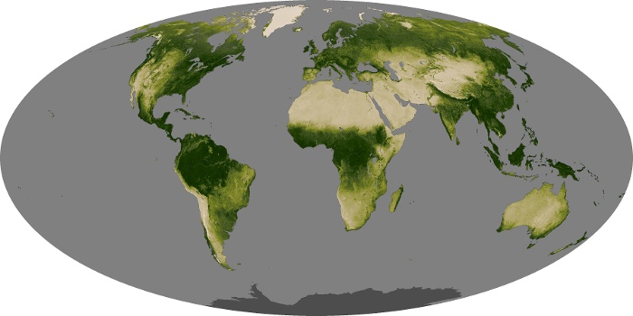 Global Map Vegetation Image 32