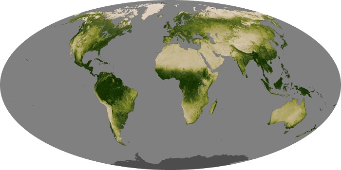 Global Map Vegetation Image 33