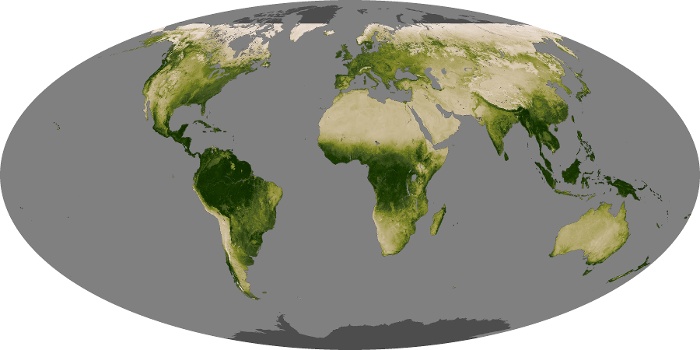 Global Map Vegetation Image 34