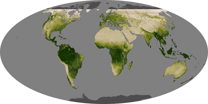 Global Map Vegetation Image 35