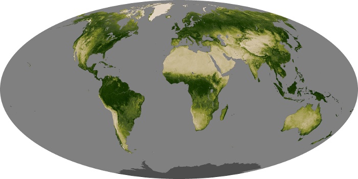 Global Map Vegetation Image 37