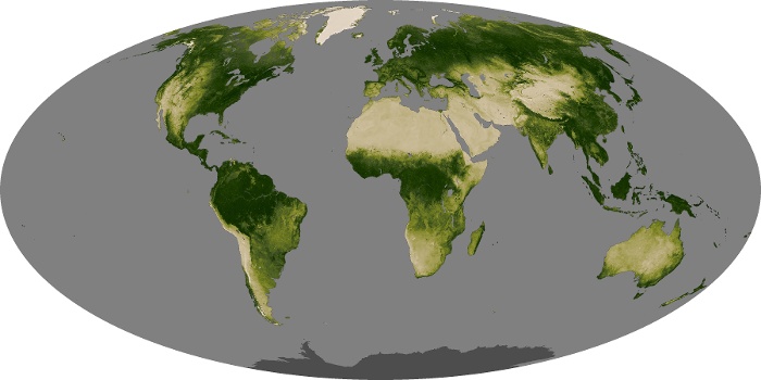 Global Map Vegetation Image 42