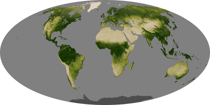 Global Map Vegetation Image 40