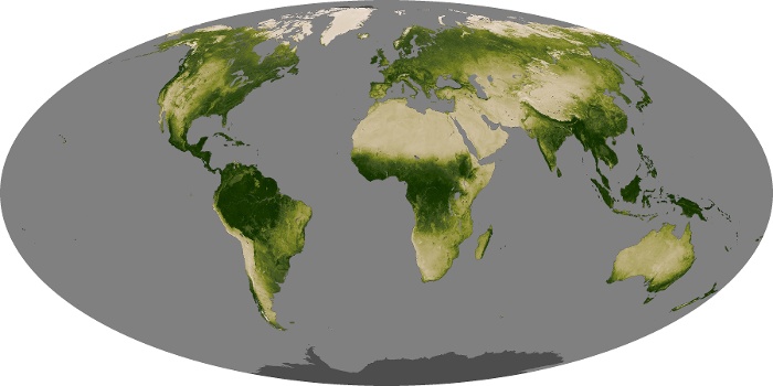 Global Map Vegetation Image 41