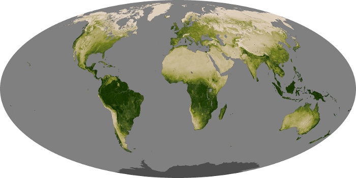 Global Map Vegetation Image 50