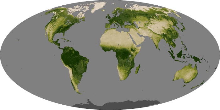 Global Map Vegetation Image 52