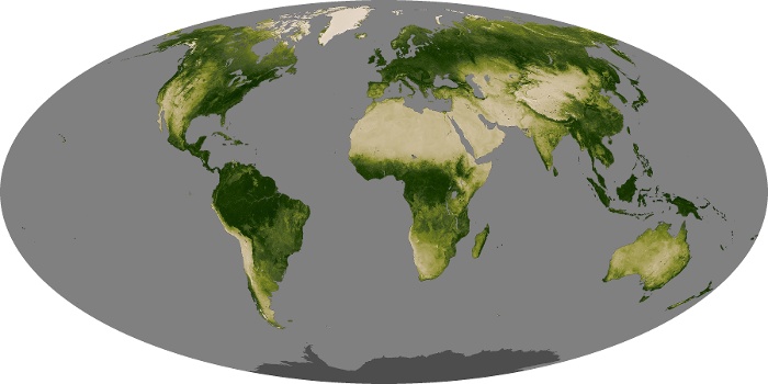 Global Map Vegetation Image 49