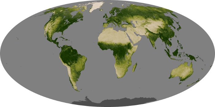 Global Map Vegetation Image 56