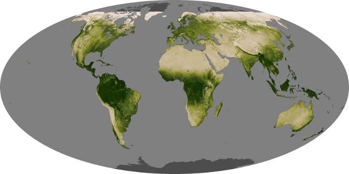 Global Map Vegetation Image 58