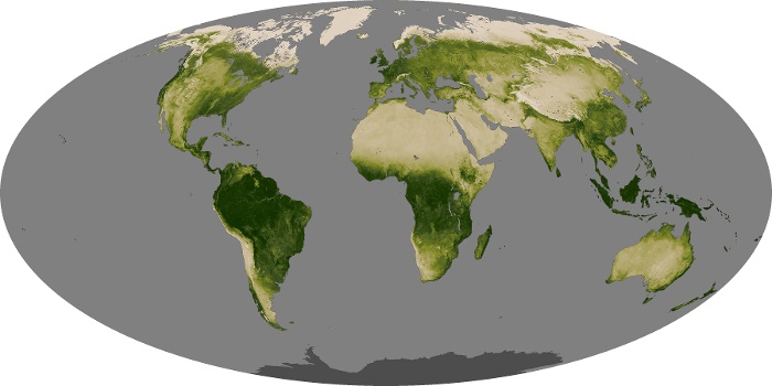 Global Map Vegetation Image 63