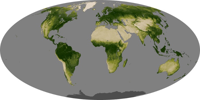 Global Map Vegetation Image 65