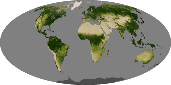 Global Map Vegetation Image 67