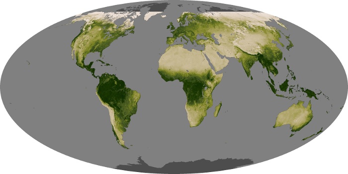 Global Map Vegetation Image 70