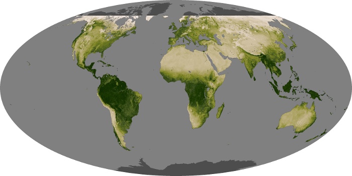 Global Map Vegetation Image 71