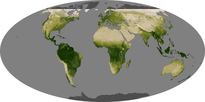 Global Map Vegetation Image 83