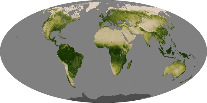 Global Map Vegetation Image 87