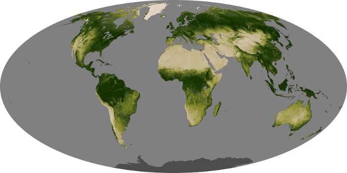 Global Map Vegetation Image 90