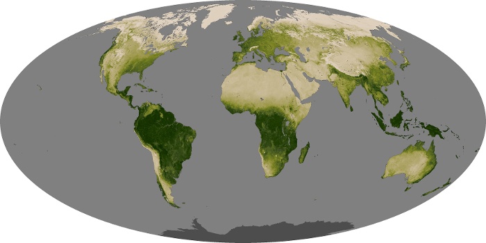 Global Map Vegetation Image 94