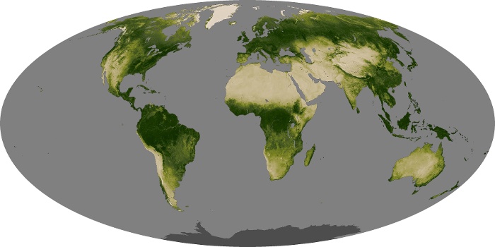 Global Map Vegetation Image 97