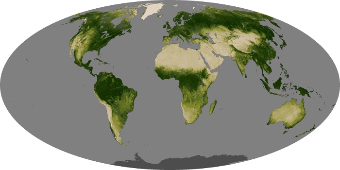 Global Map Vegetation Image 98