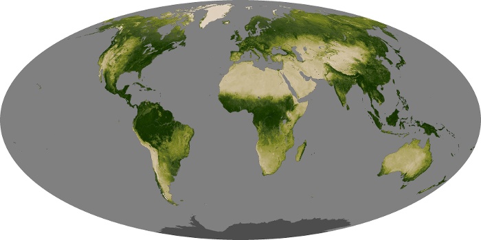 Global Map Vegetation Image 100