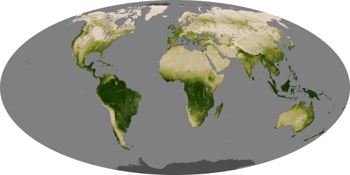 Global Map Vegetation Image 117