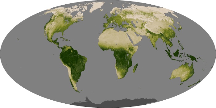 Global Map Vegetation Image 118