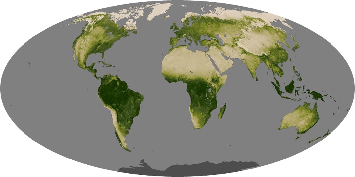 Global Map Vegetation Image 123
