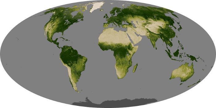 Global Map Vegetation Image 122