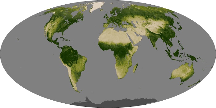 Global Map Vegetation Image 124