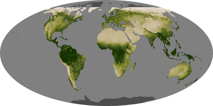 Global Map Vegetation Image 130