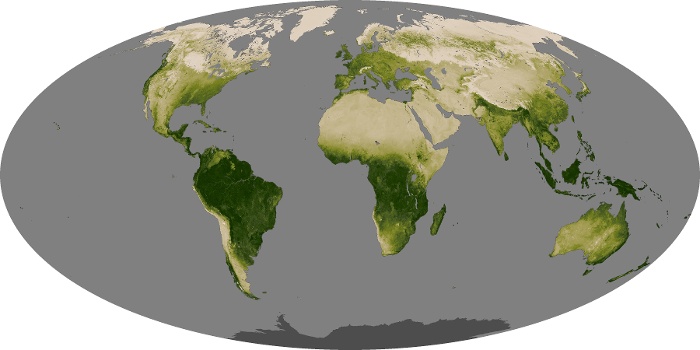 Global Map Vegetation Image 134