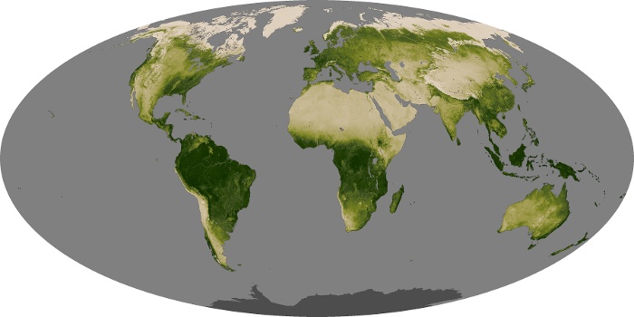 Global Map Vegetation Image 131