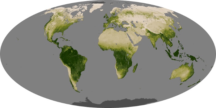 Global Map Vegetation Image 141