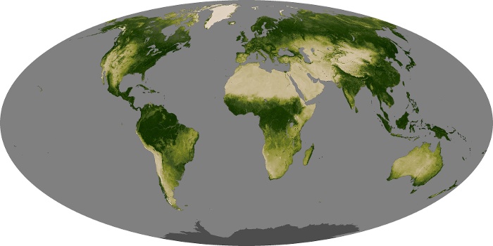 Global Map Vegetation Image 151