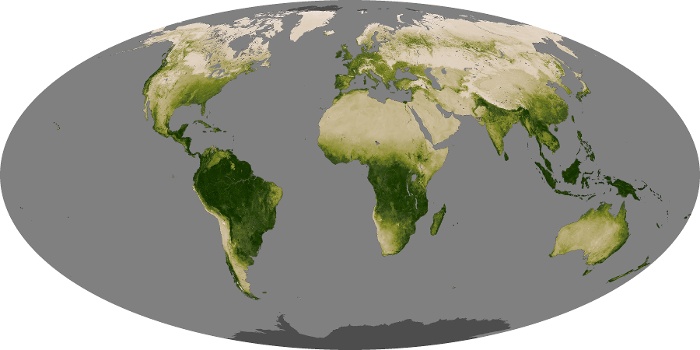 Global Map Vegetation Image 153