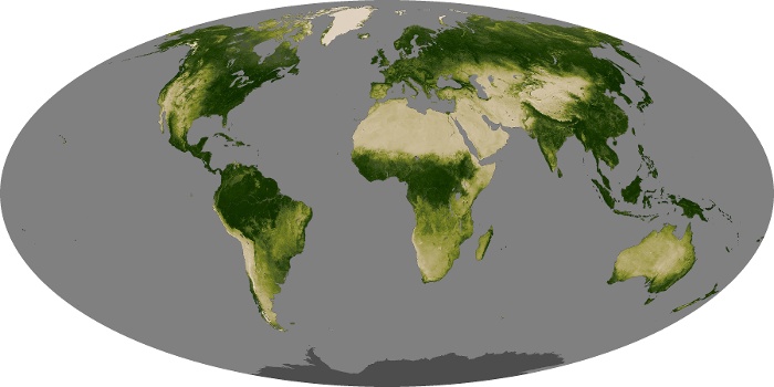 Global Map Vegetation Image 163