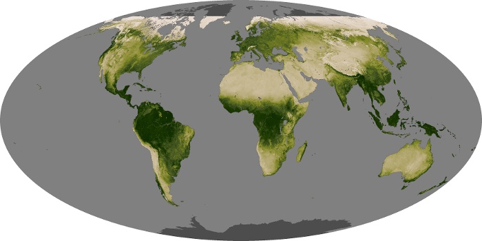 Global Map Vegetation Image 162
