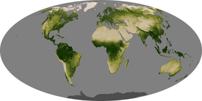 Global Map Vegetation Image 177