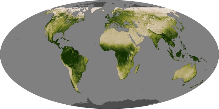 Global Map Vegetation Image 174