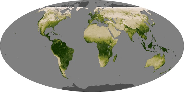 Global Map Vegetation Image 188