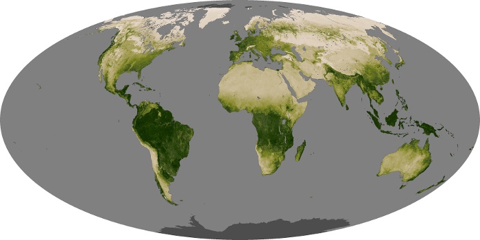 Global Map Vegetation Image 189