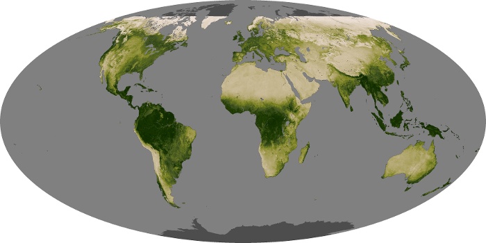 Global Map Vegetation Image 198