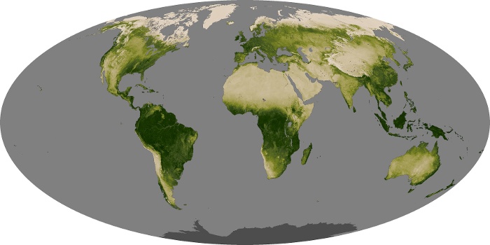 Global Map Vegetation Image 203