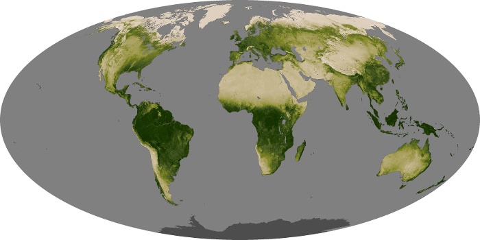 Global Map Vegetation Image 215
