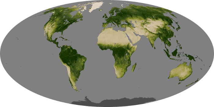 Global Map Vegetation Image 221