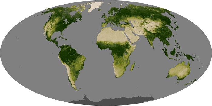 Global Map Vegetation Image 223