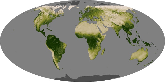 Global Map Vegetation Image 222